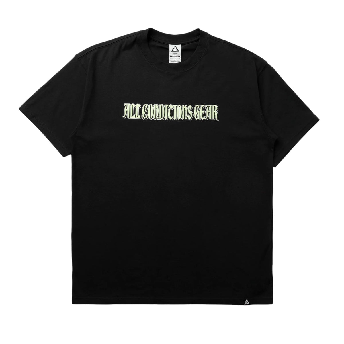 Nike ACG Tee "Iguana" - HJ0884-010